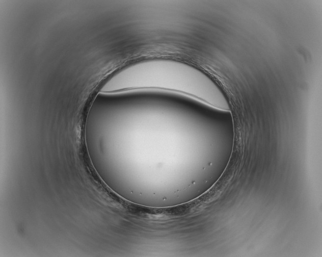 X0000112820309200909041520