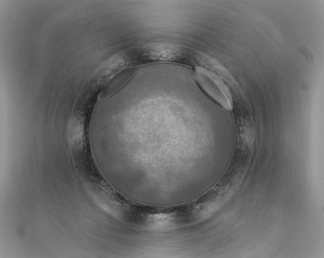 X0000112820312200909041520