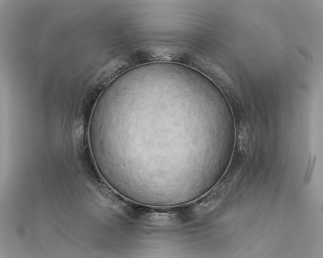 X0000112820314200909041520