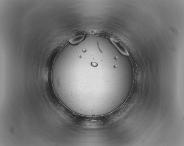 X0000112820315200909041520