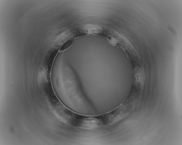 X0000112820316200909041520