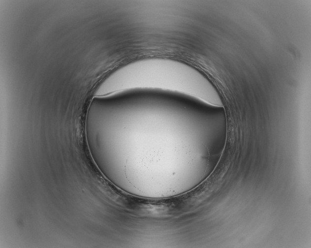 X0000112820317200909041520