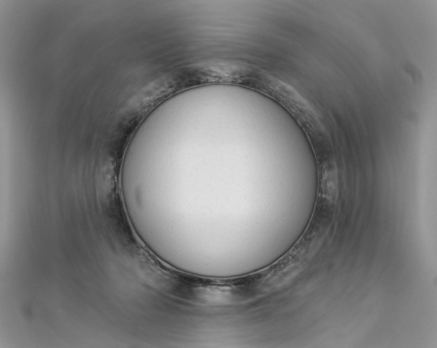 X0000112820318200909041520