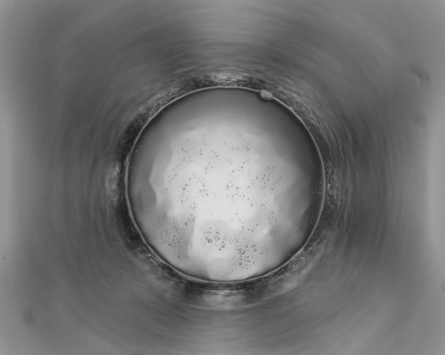 X0000112820319200909041520