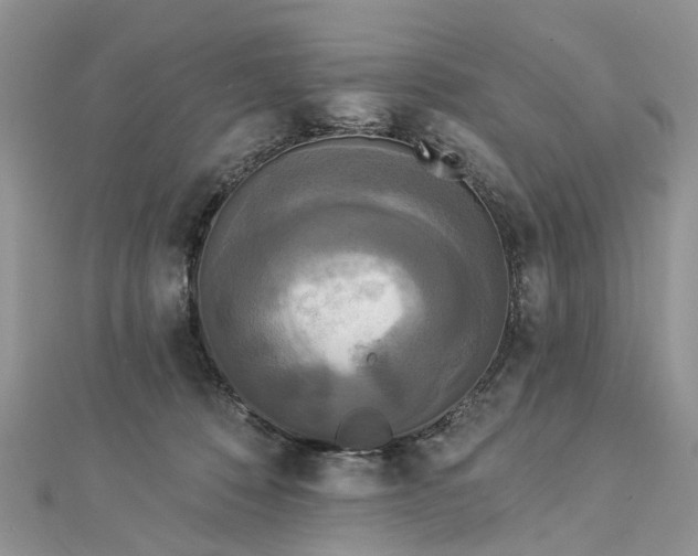 X0000112820320200909041520