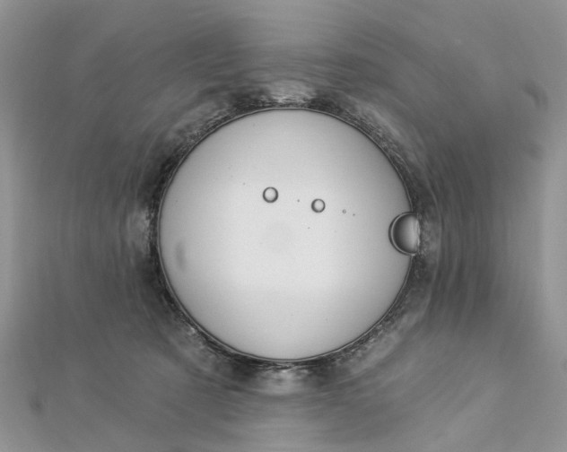 X0000112820321200909041520