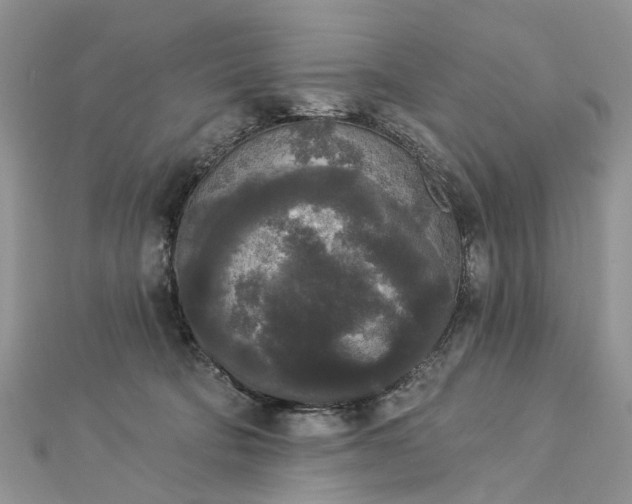 X0000112820322200909041520