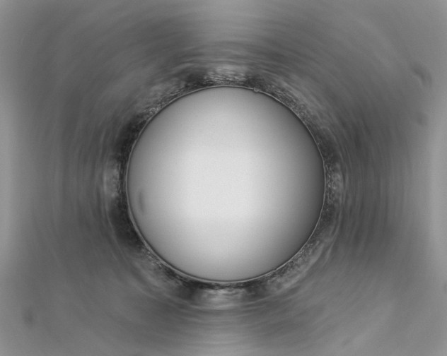 X0000112820323200909041520