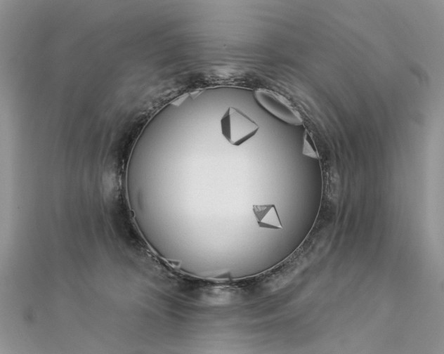 X0000112820324200909041520