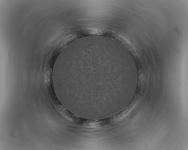 X0000112820325200909041520