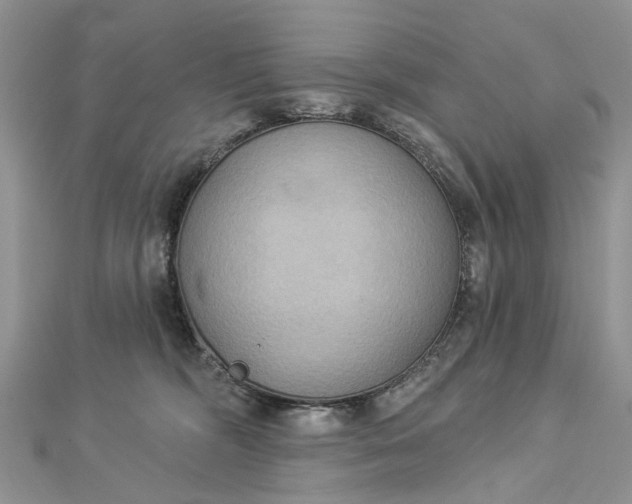 X0000112820326200909041520