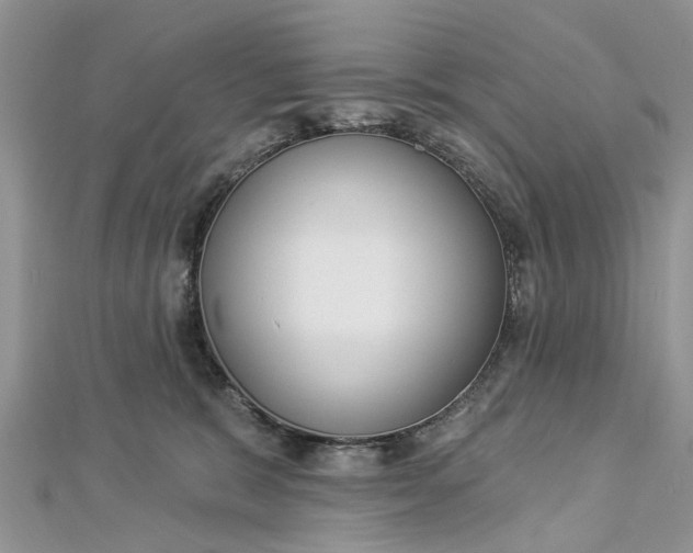 X0000112820327200909041520