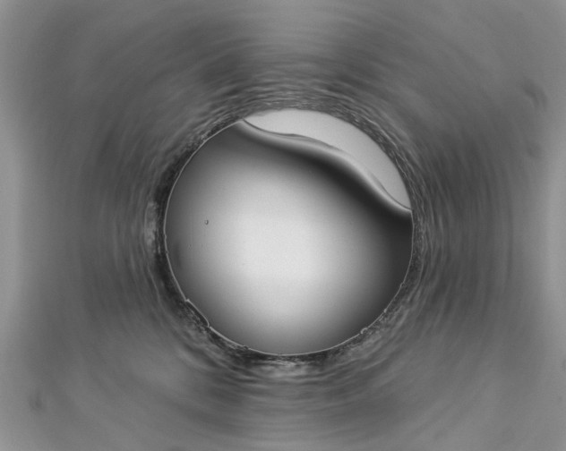 X0000112820328200909041520