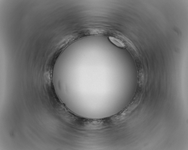 X0000112820329200909041520