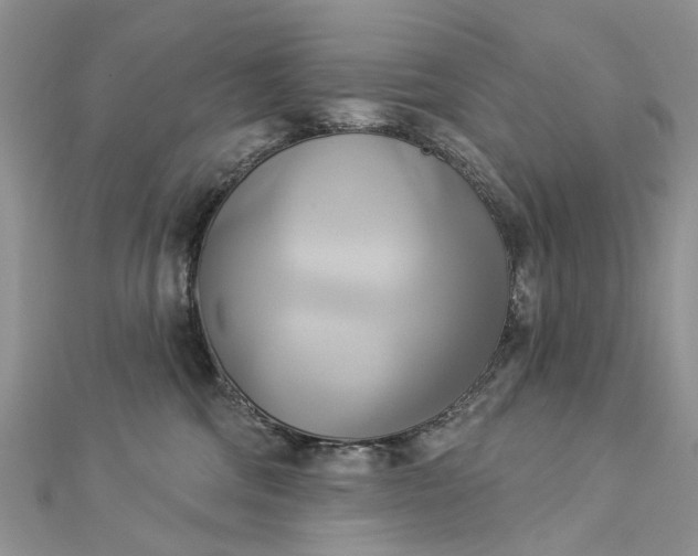 X0000112820330200909041520