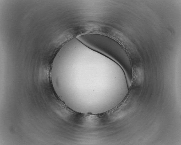 X0000112820333200909041520