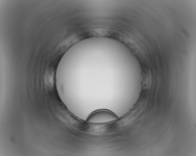 X0000112820334200909041520