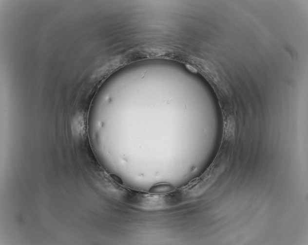 X0000112820335200909041520