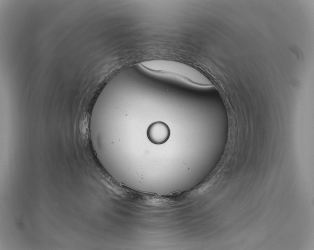 X0000112820336200909041520