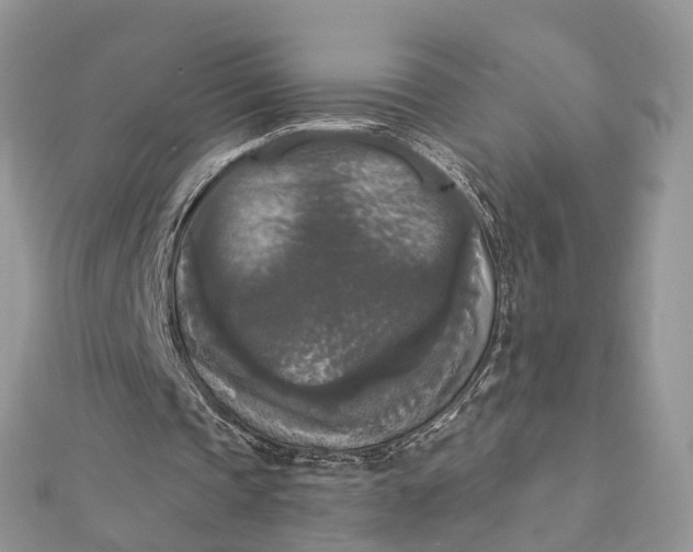 X0000112820337200909041519