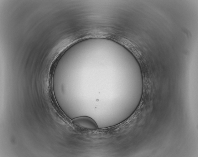 X0000112820338200909041519