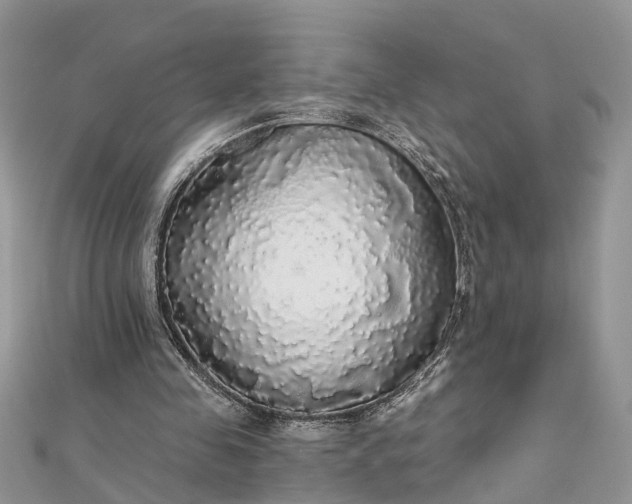 X0000112820341200909041519