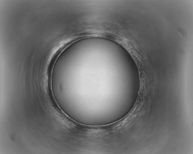 X0000112820342200909041519