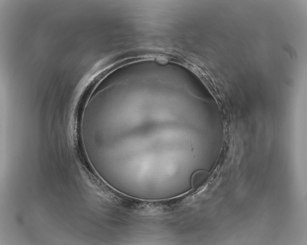 X0000112820343200909041519