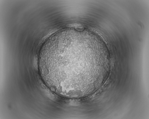 X0000112820345200909041519