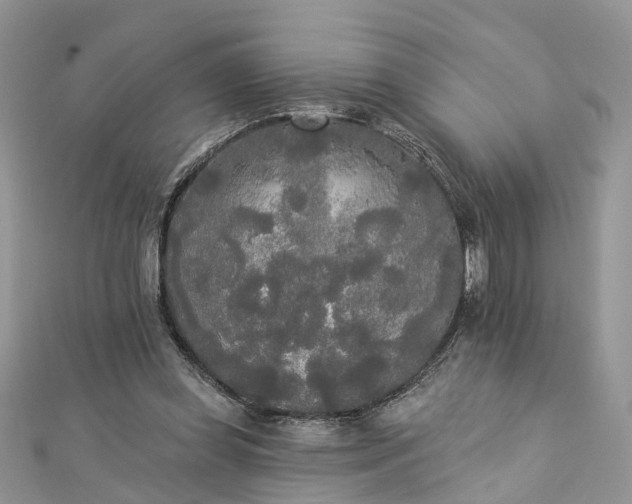 X0000112820349200909041519