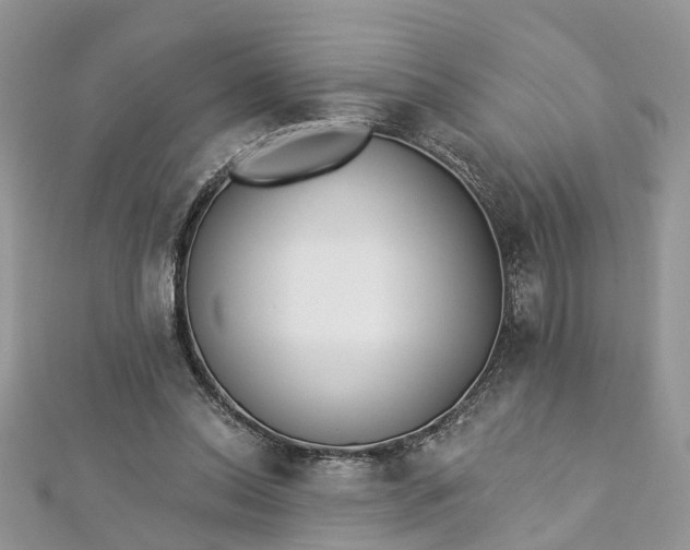 X0000112820350200909041519