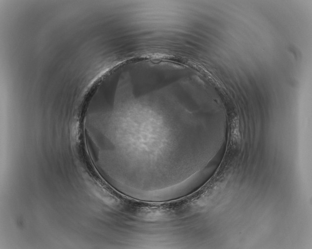 X0000112820351200909041519