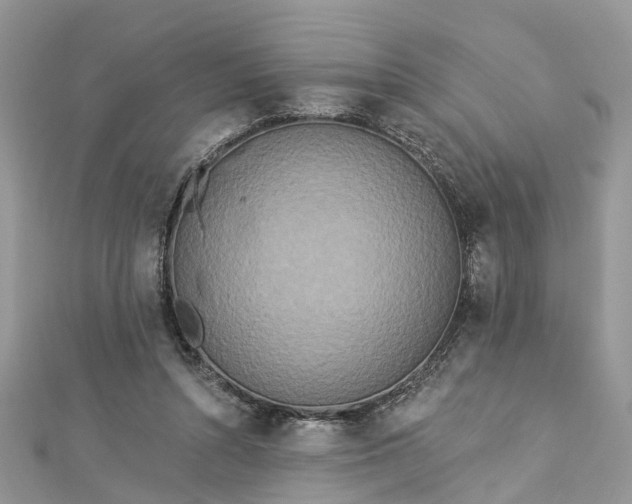 X0000112820352200909041519