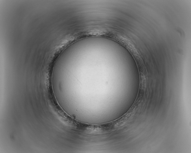 X0000112820354200909041519