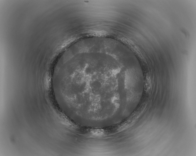 X0000112820355200909041519