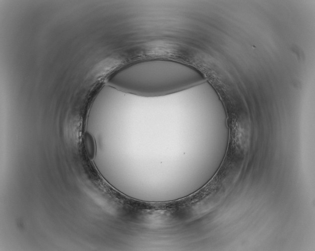 X0000112820356200909041519