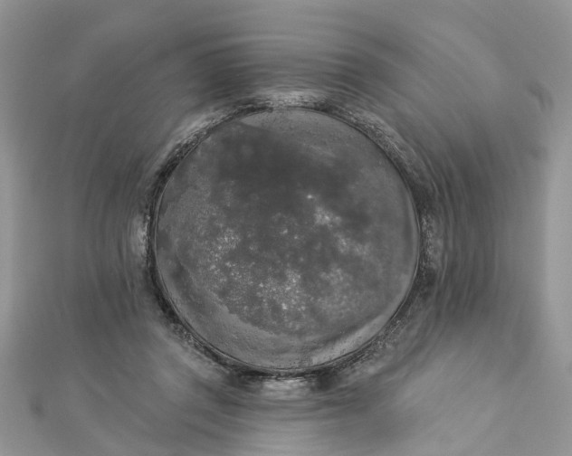 X0000112820357200909041519