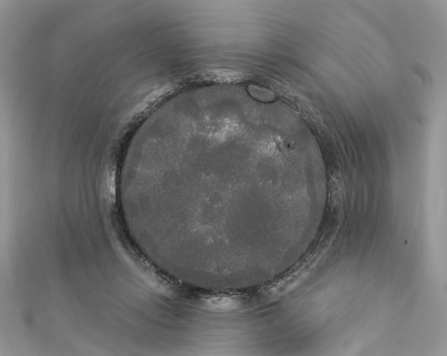 X0000112820358200909041519