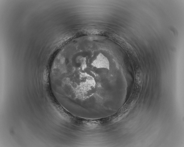 X0000112820359200909041519