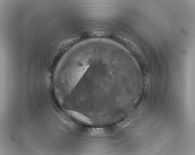 X0000112820361200909041519