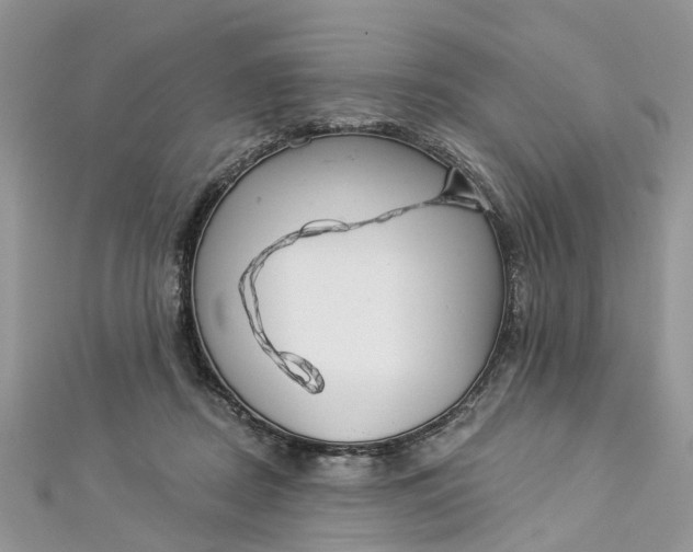 X0000112820362200909041519