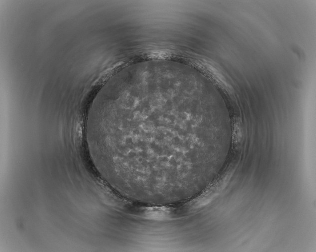 X0000112820363200909041519