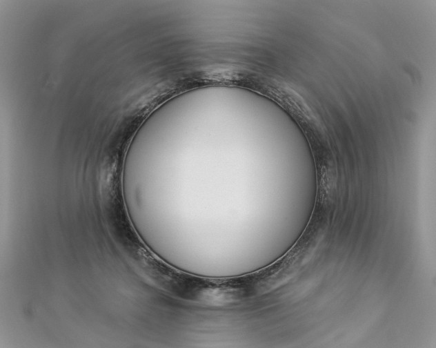 X0000112820364200909041519