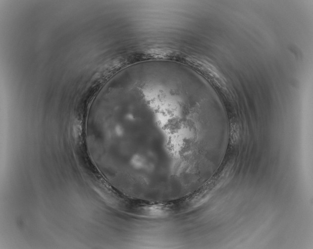 X0000112820365200909041519