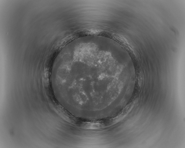 X0000112820366200909041519