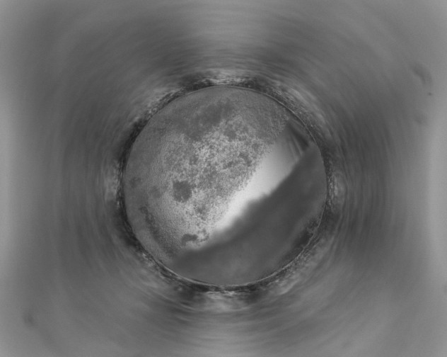 X0000112820367200909041519