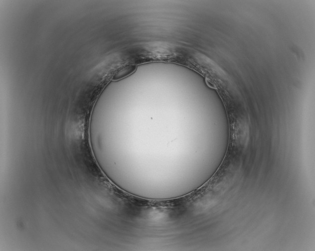 X0000112820368200909041519