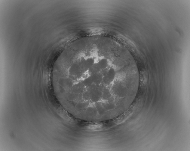 X0000112820369200909041519