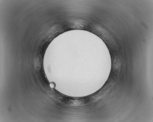 X0000112820370200909041519