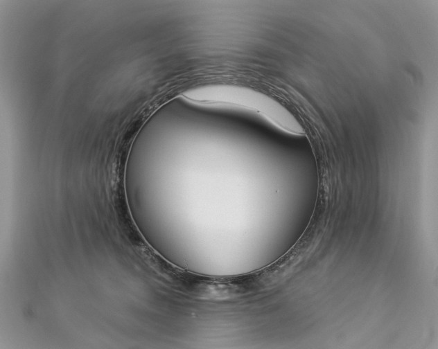 X0000112820372200909041519